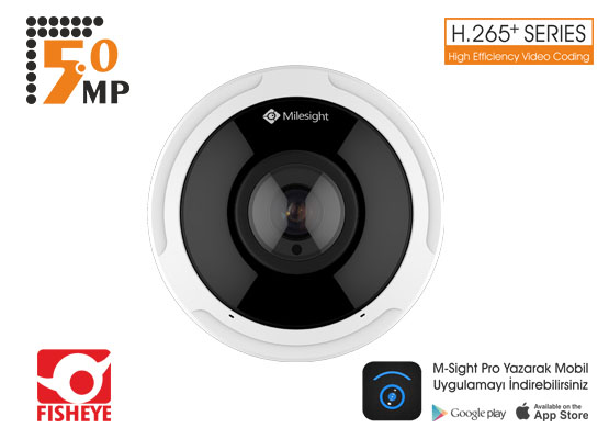 MILESIGHT MS-C5374-PB 5 MP 1,25 MM PANORAMİK MP LENS 6 SMART IR II FISHEYE IP KAMERA